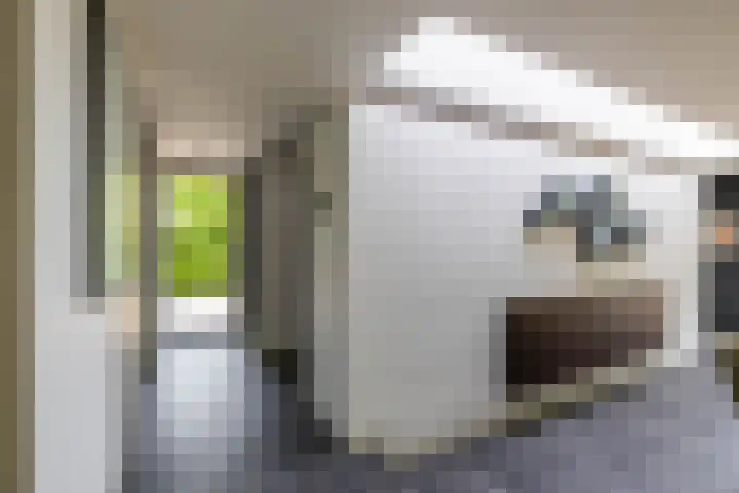 Meerkoetlaan 1 Paterswolde thumbnail 19