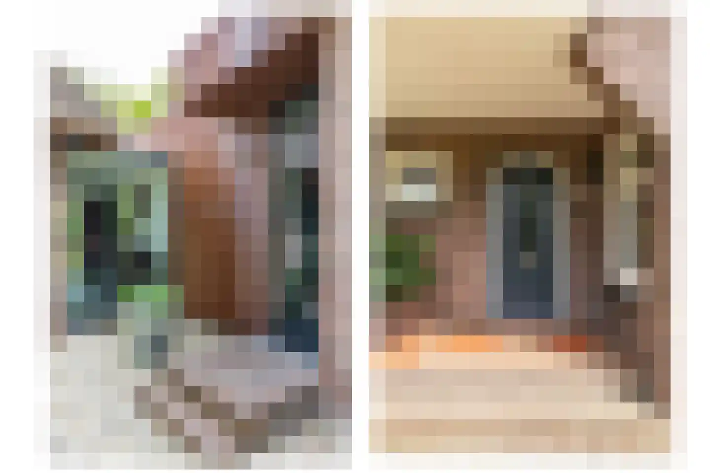 Meerkoetlaan 1 Paterswolde thumbnail 24