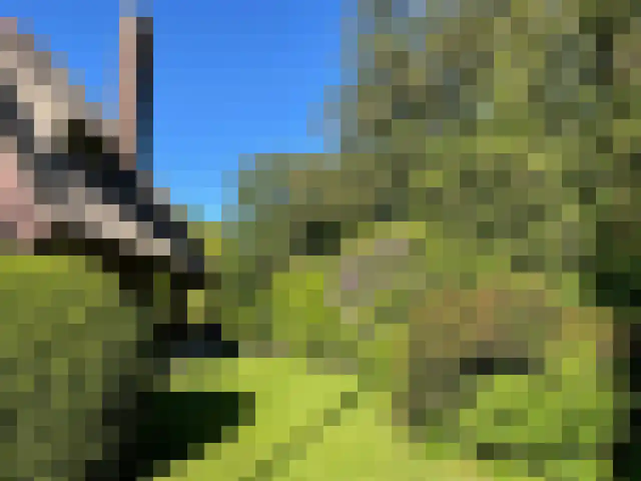 Meerkoetlaan 1 Paterswolde thumbnail 25