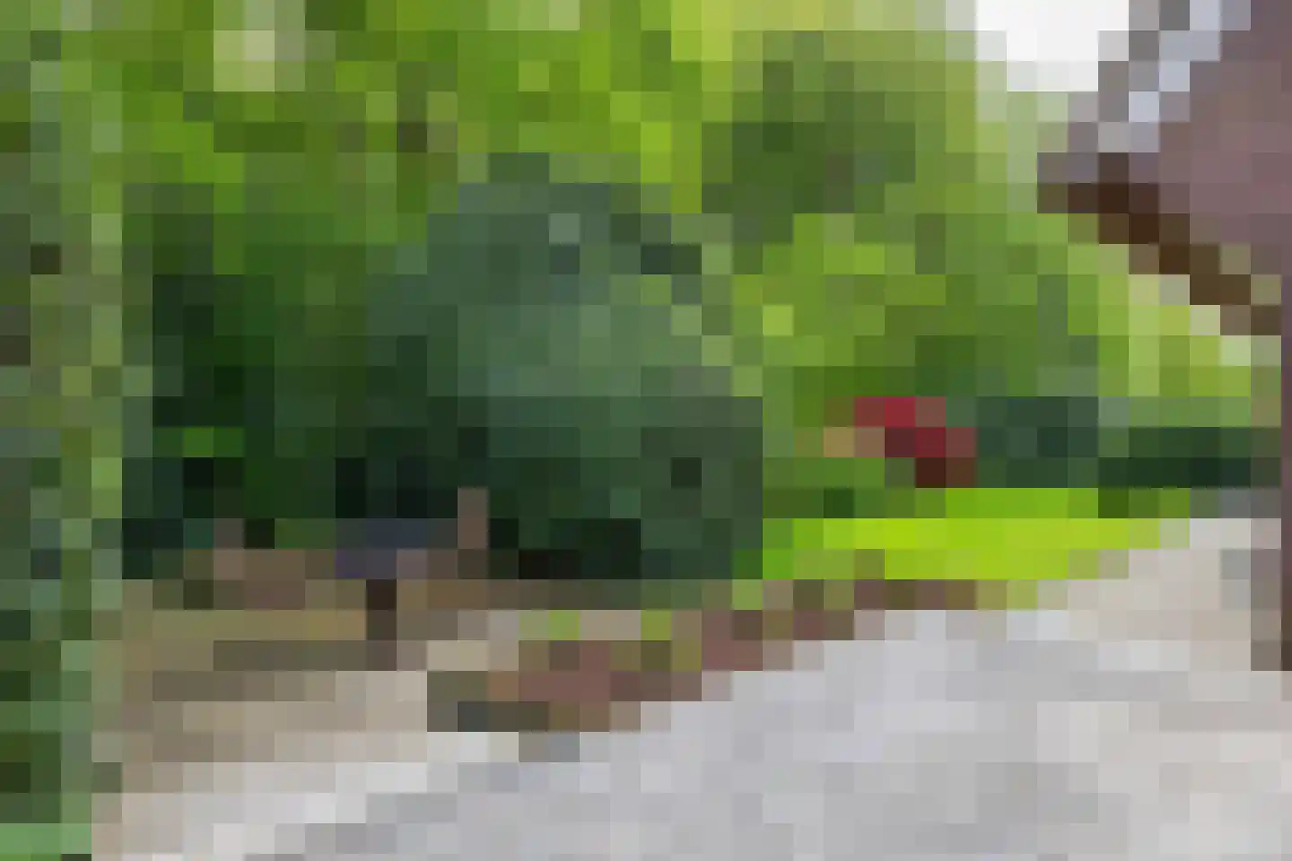 Meerkoetlaan 1 Paterswolde thumbnail 27