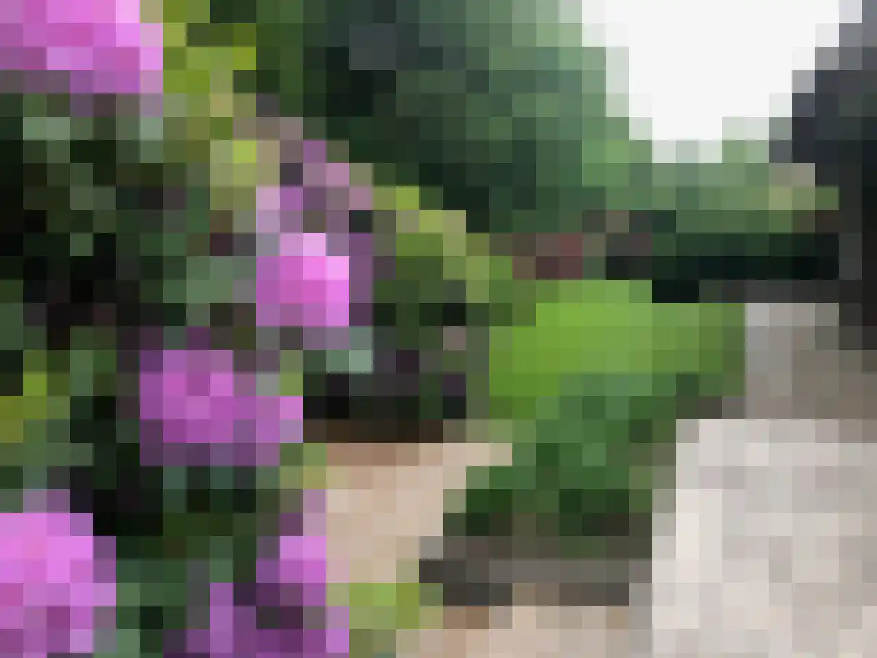 Meerkoetlaan 1 Paterswolde thumbnail 28