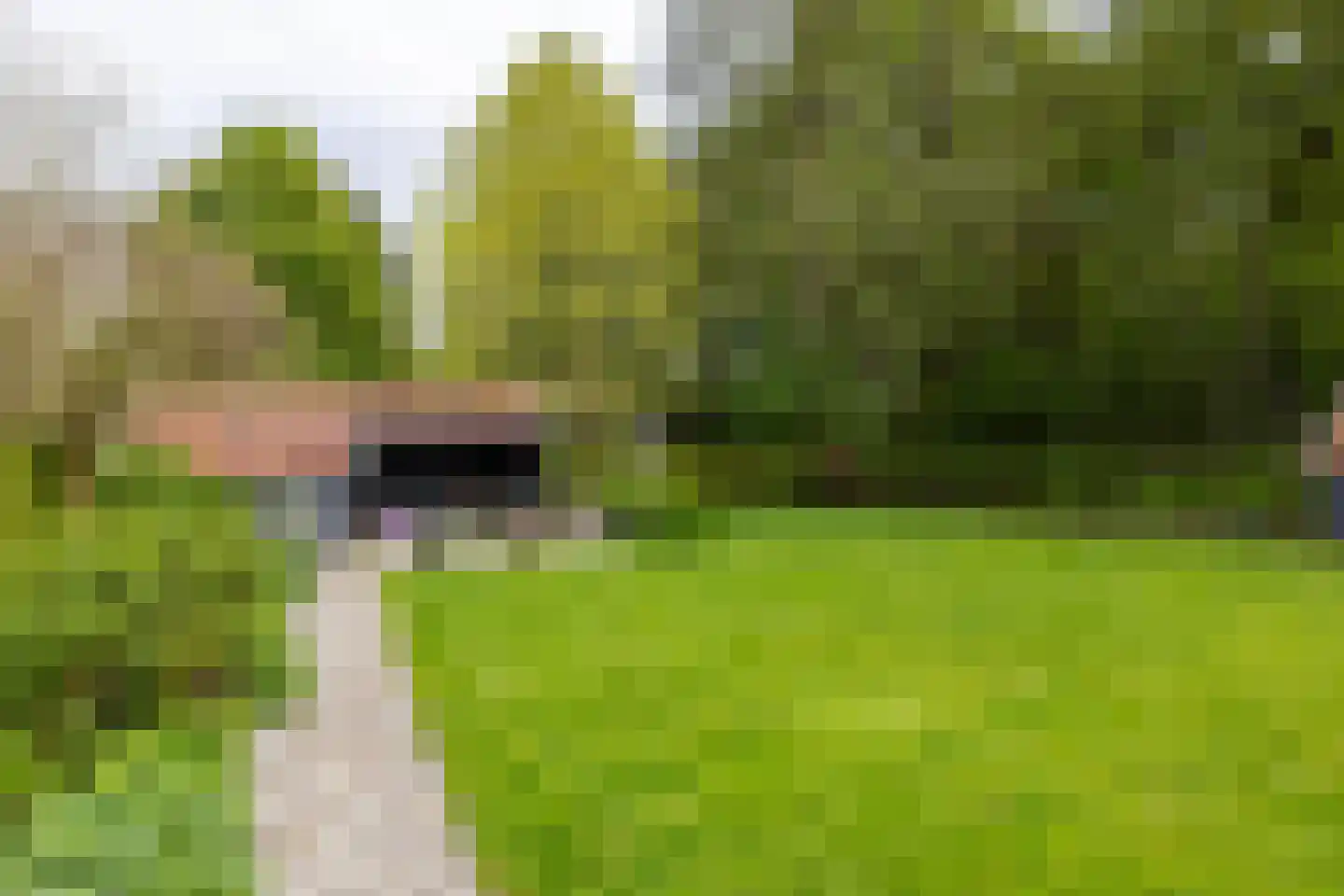 Meerkoetlaan 1 Paterswolde thumbnail 31