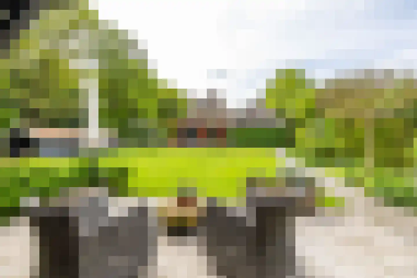 Meerkoetlaan 1 Paterswolde thumbnail 33