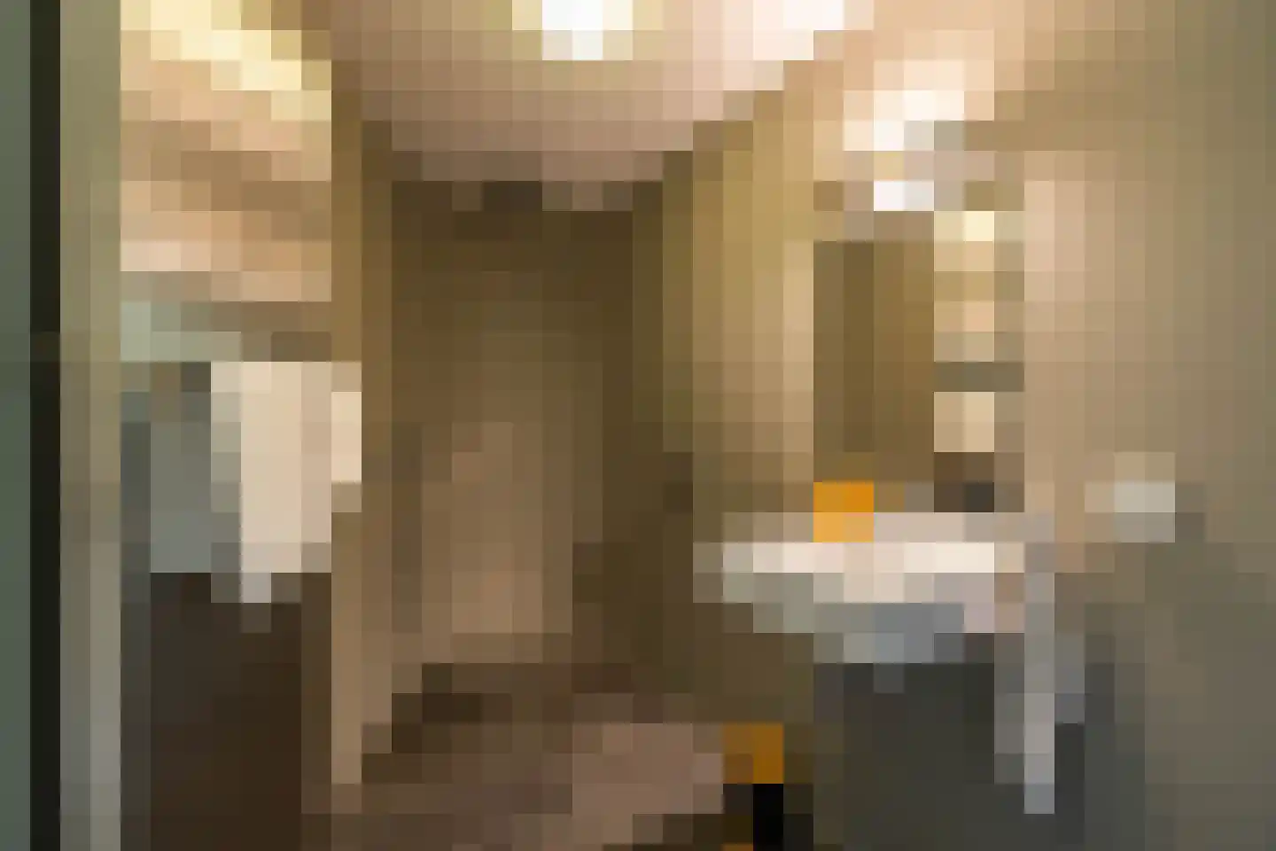 Meerkoetlaan 1 Paterswolde thumbnail 38