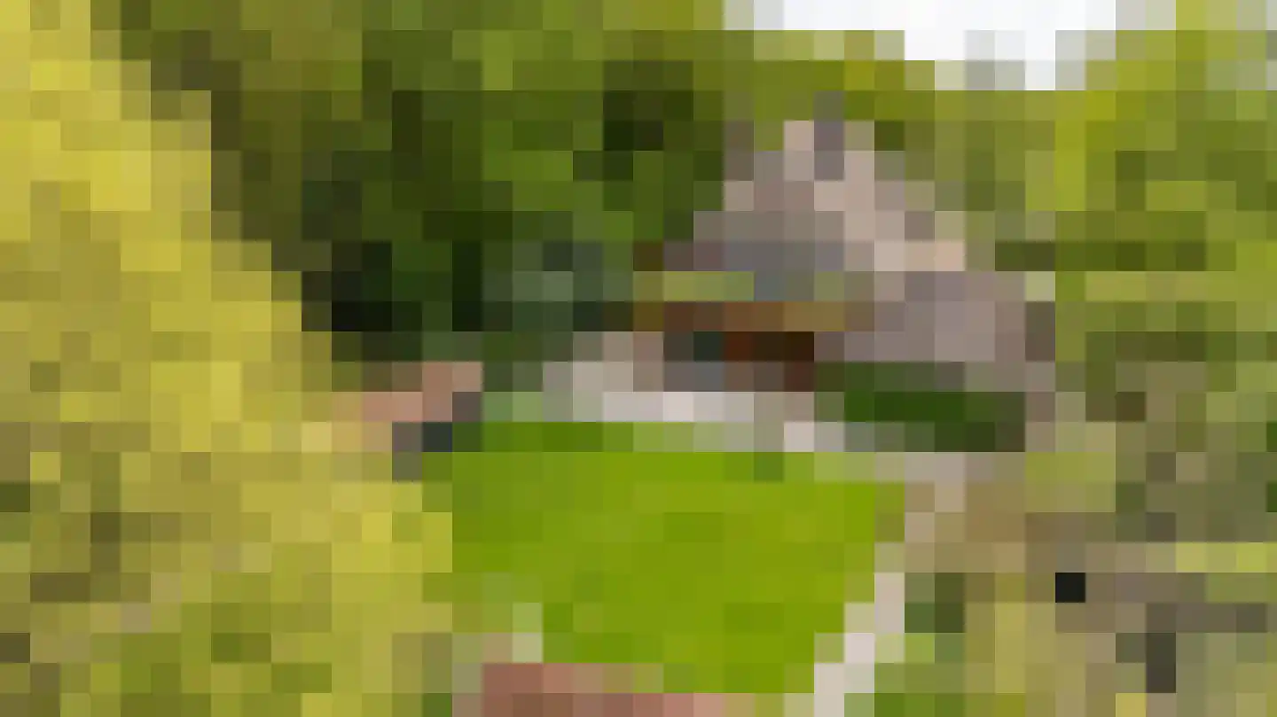Meerkoetlaan 1 Paterswolde thumbnail 4