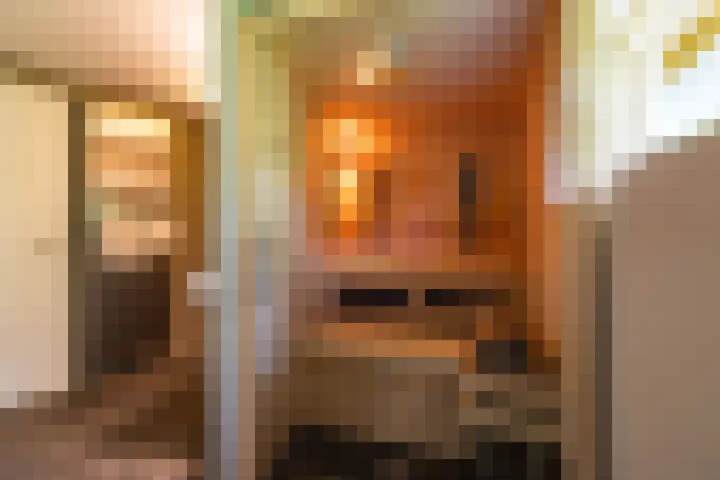Meerkoetlaan 1 Paterswolde thumbnail 40