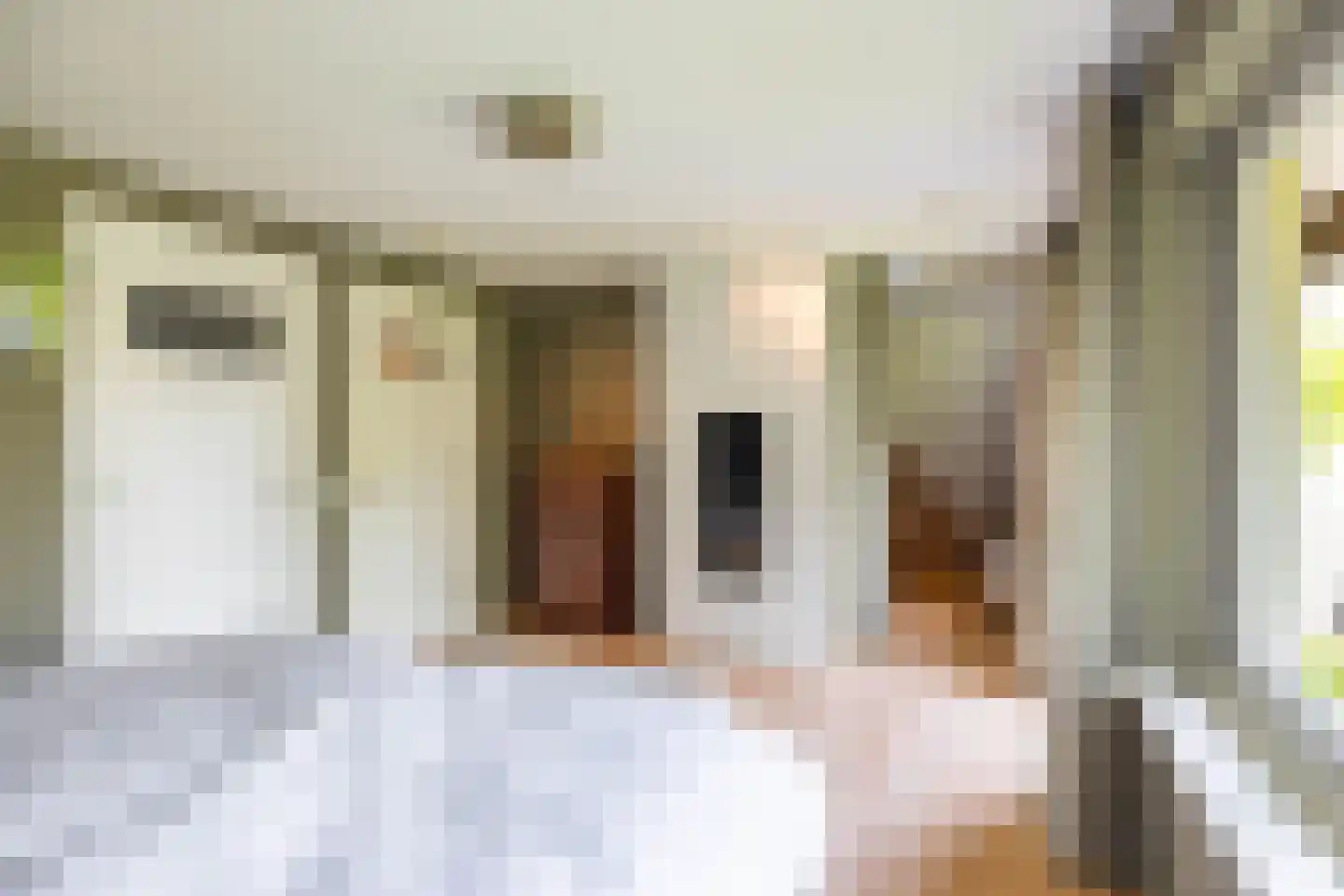 Meerkoetlaan 1 Paterswolde thumbnail 43