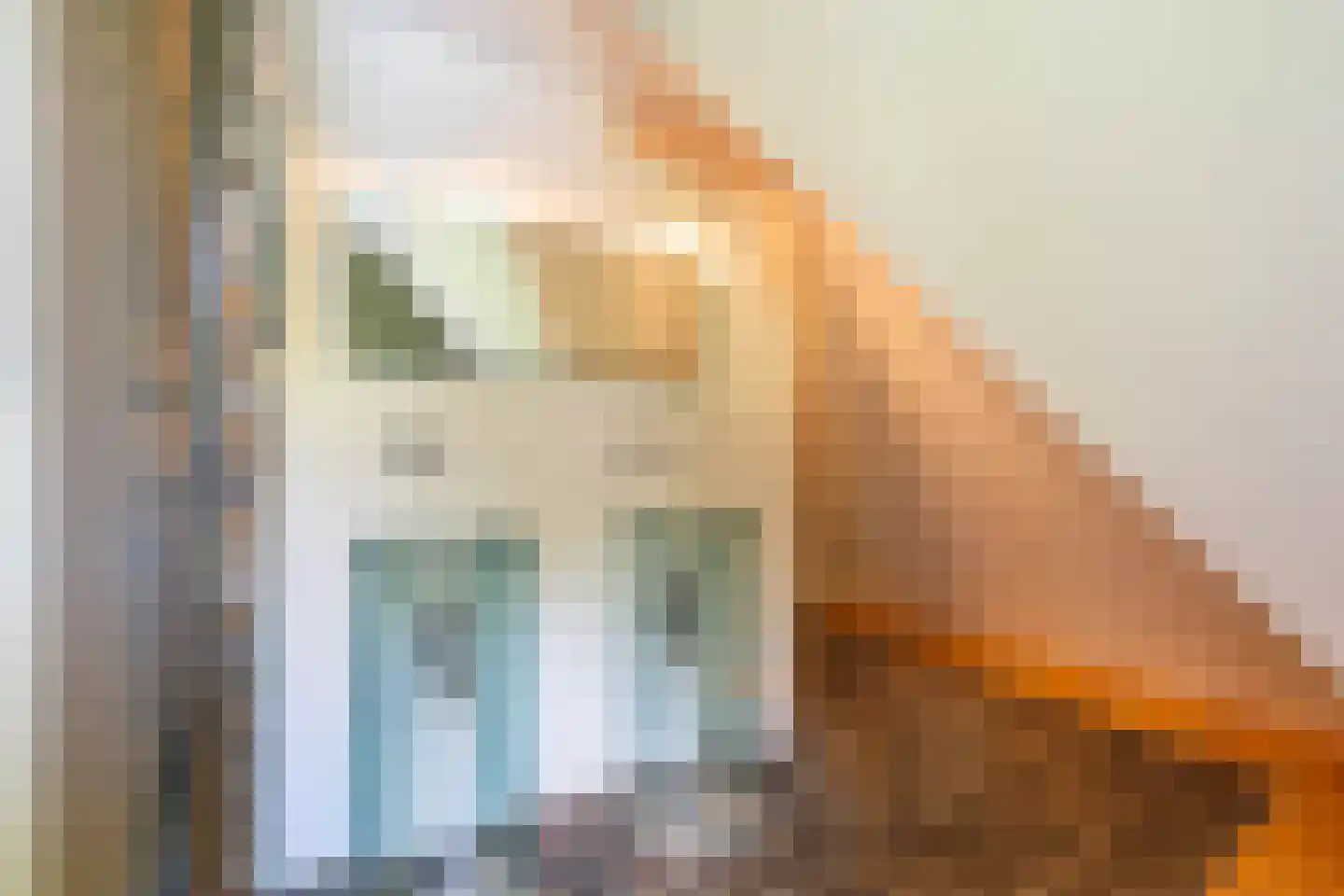 Meerkoetlaan 1 Paterswolde thumbnail 44