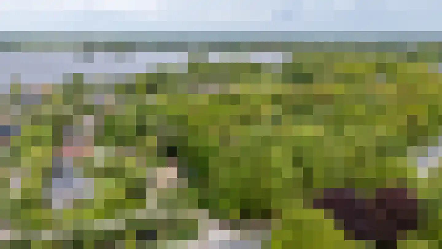 Meerkoetlaan 1 Paterswolde thumbnail 5