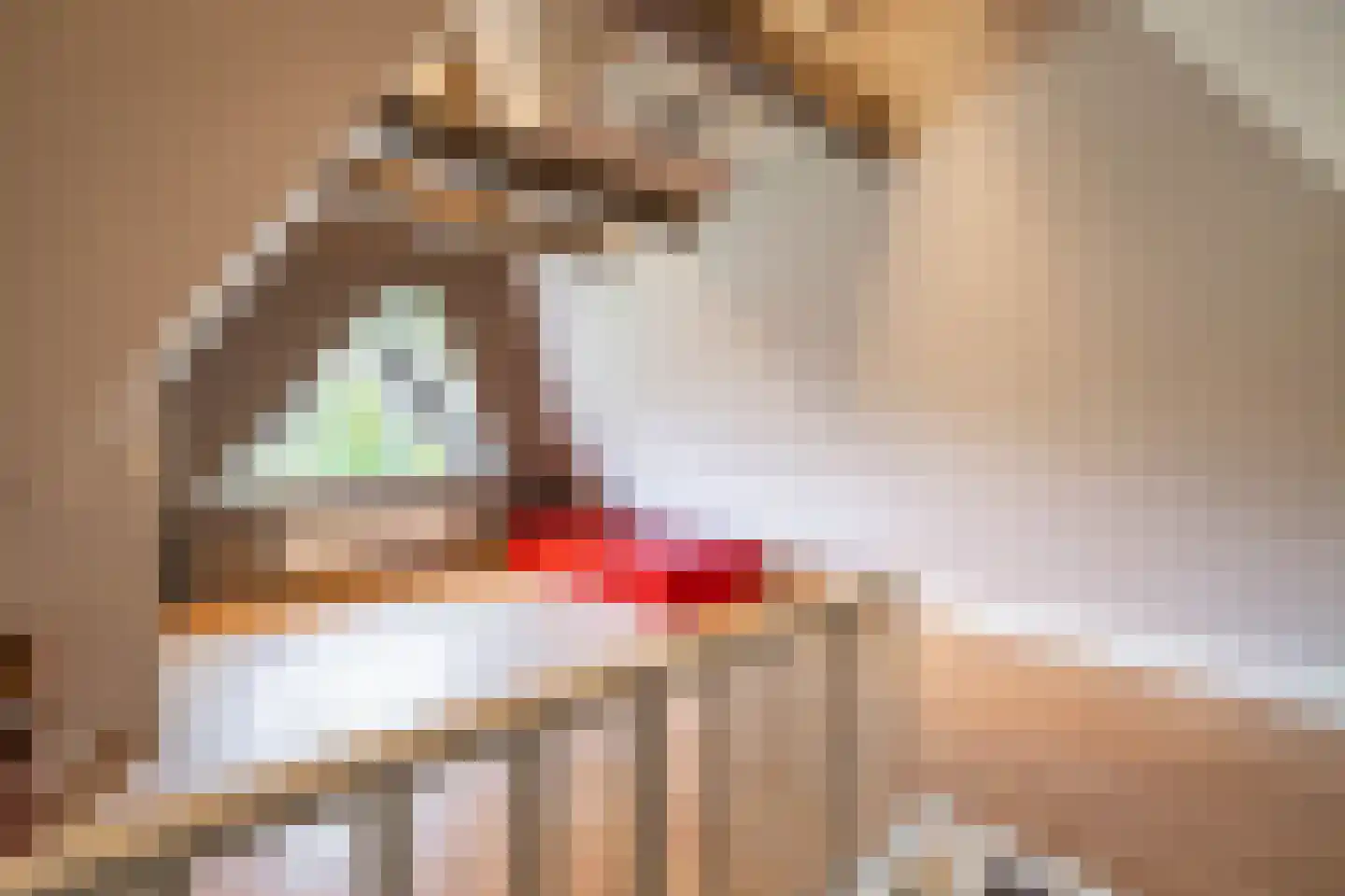 Meerkoetlaan 1 Paterswolde thumbnail 53