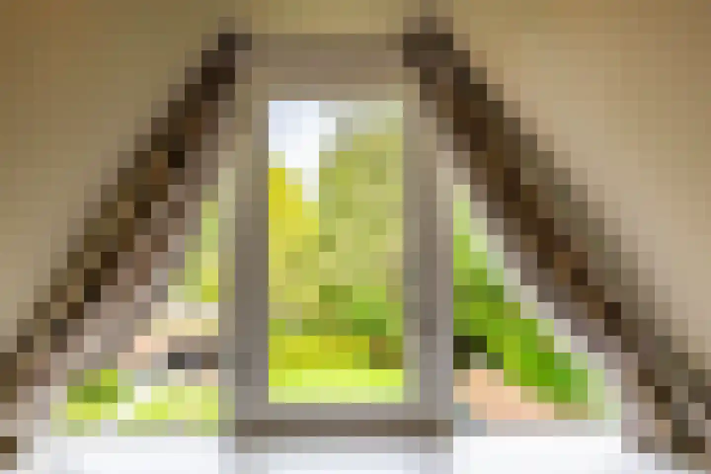 Meerkoetlaan 1 Paterswolde thumbnail 55