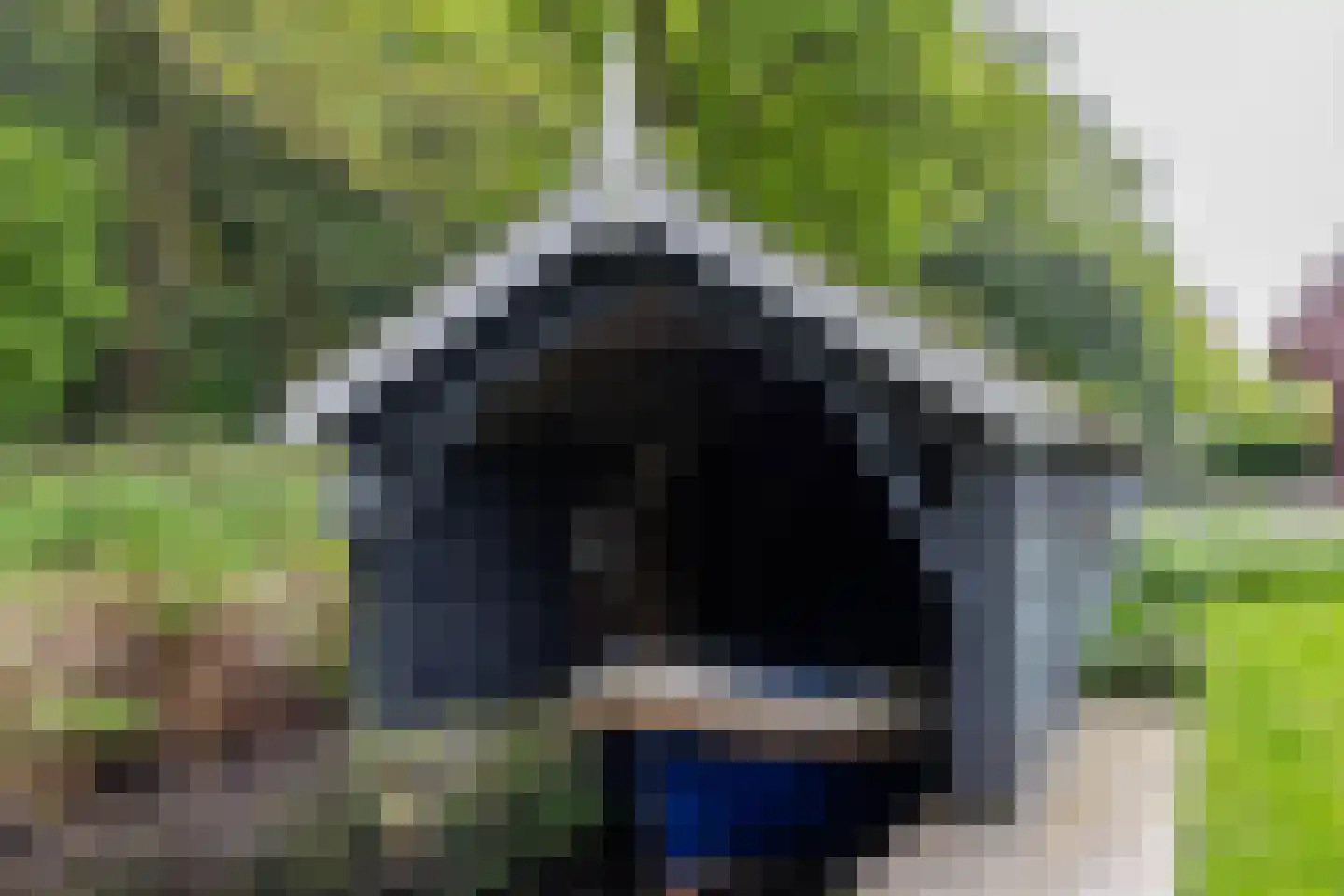 Meerkoetlaan 1 Paterswolde thumbnail 57