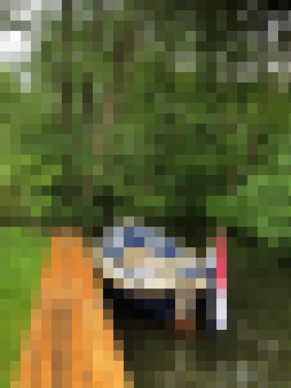 Meerkoetlaan 1 Paterswolde thumbnail 58