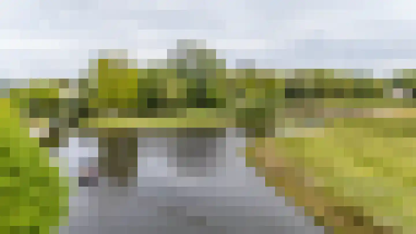Meerkoetlaan 1 Paterswolde thumbnail 59
