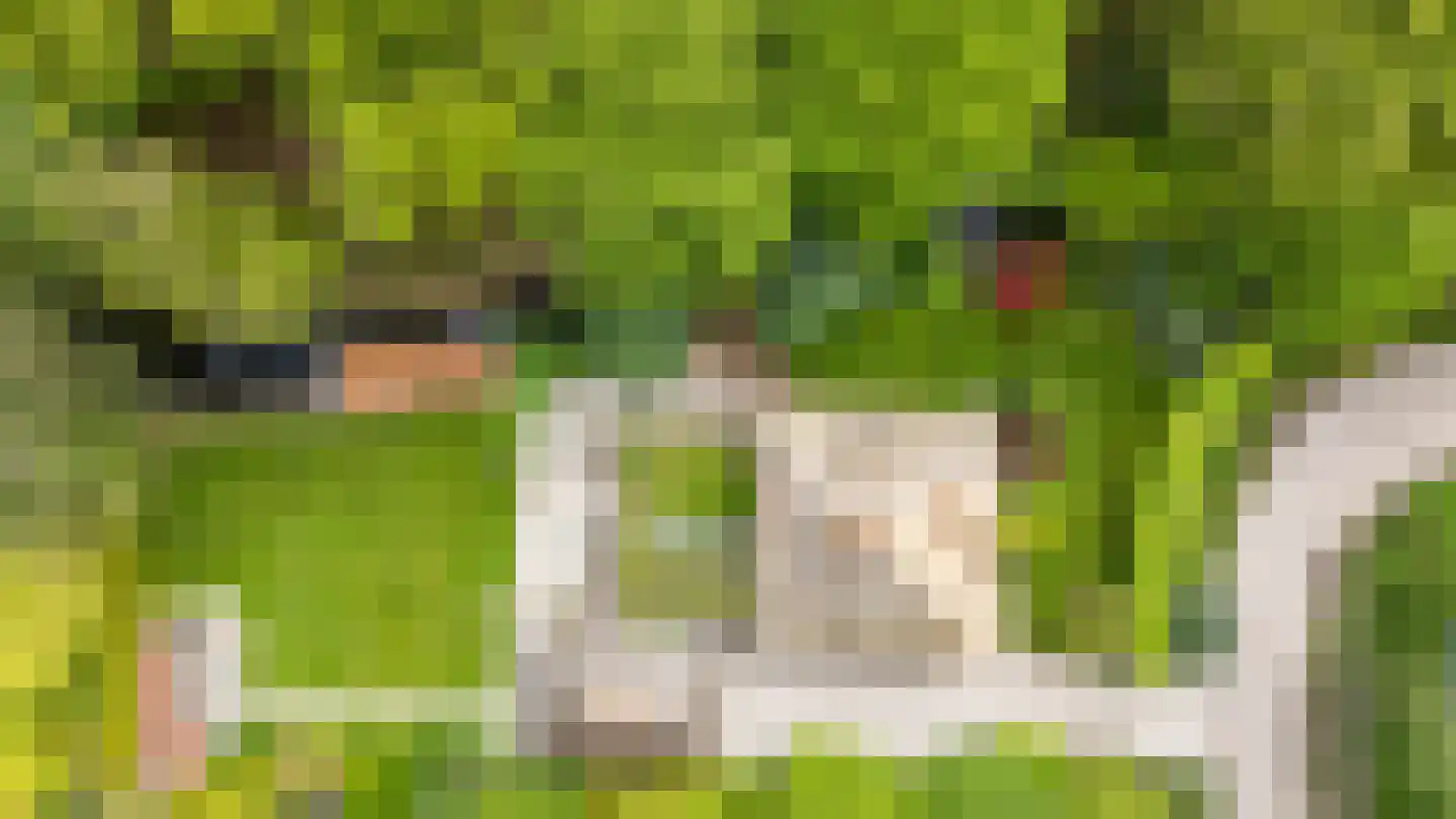 Meerkoetlaan 1 Paterswolde thumbnail 6