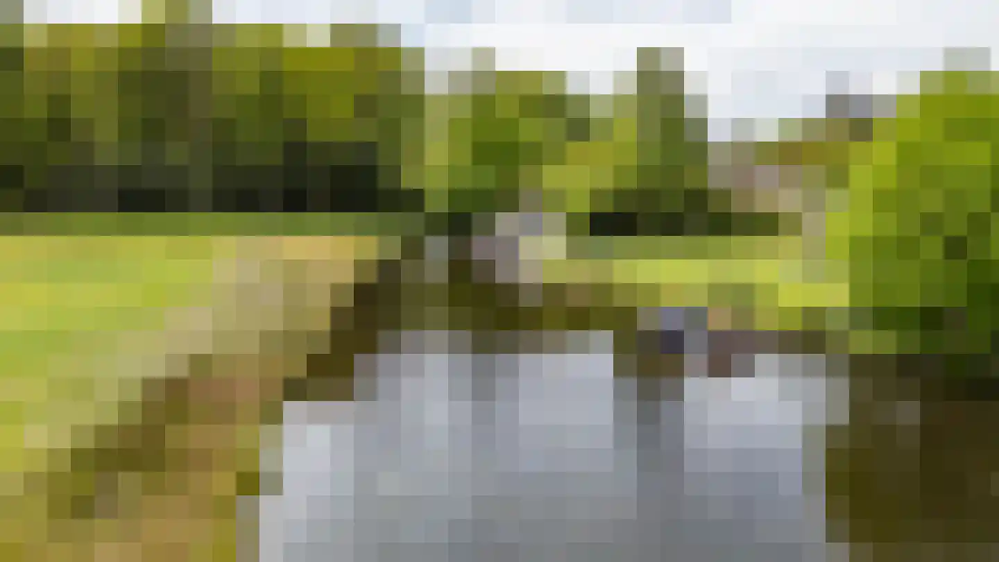 Meerkoetlaan 1 Paterswolde thumbnail 61