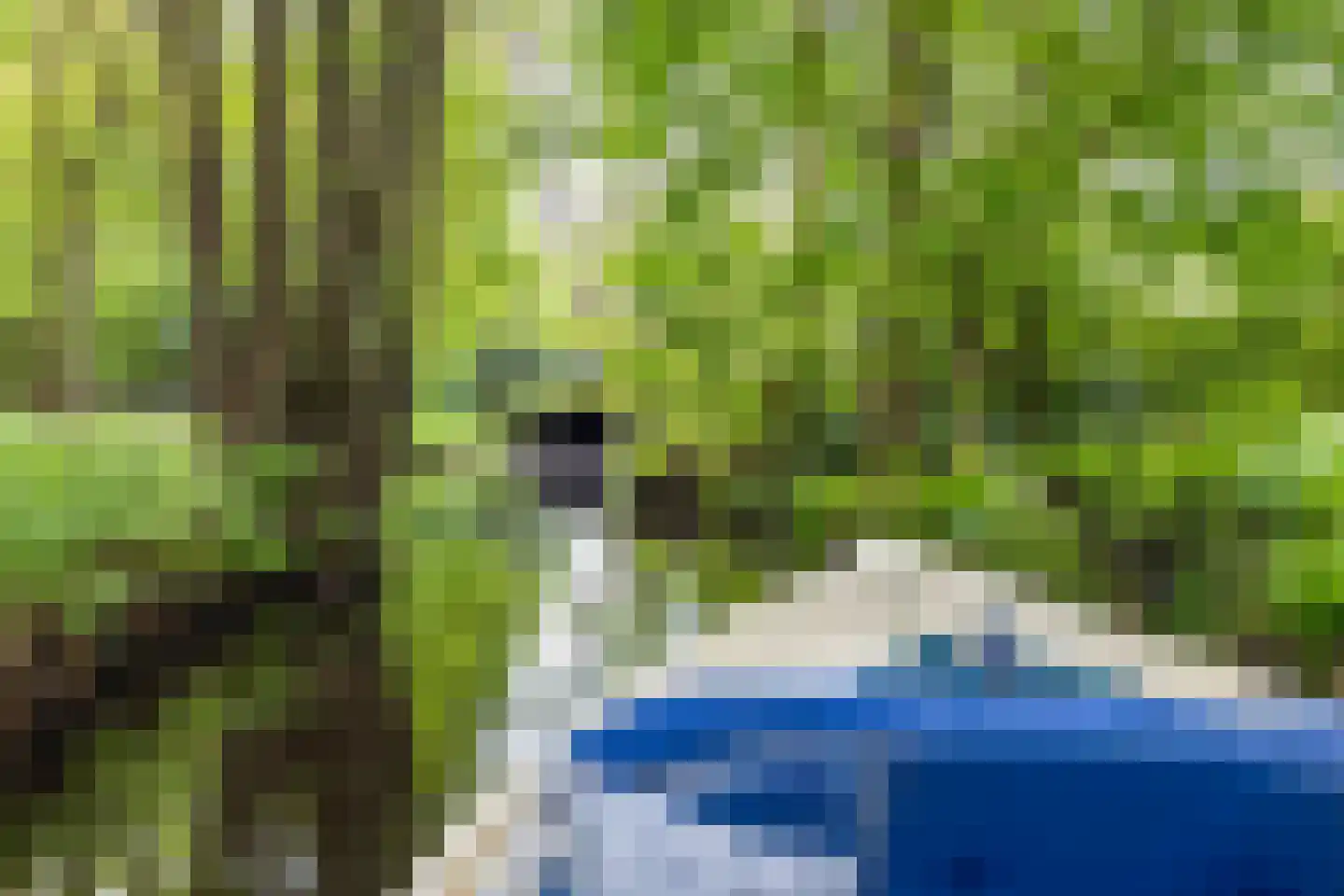 Meerkoetlaan 1 Paterswolde thumbnail 62