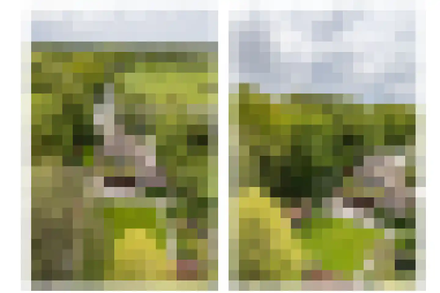 Meerkoetlaan 1 Paterswolde thumbnail 64