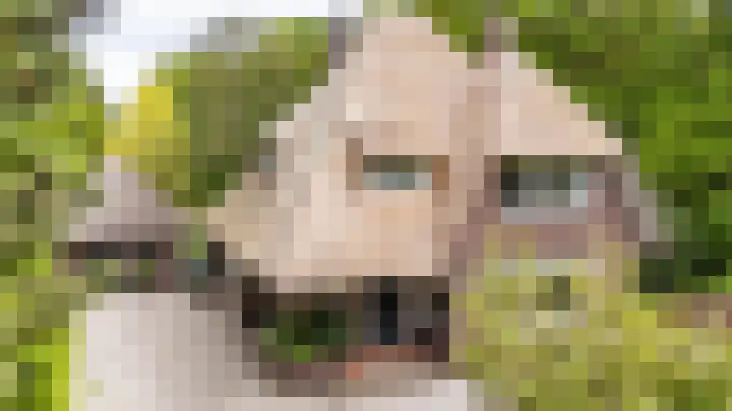 Meerkoetlaan 1 Paterswolde thumbnail 65