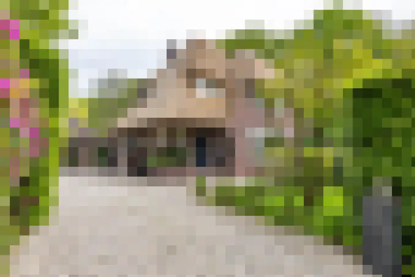 Meerkoetlaan 1 Paterswolde thumbnail 7