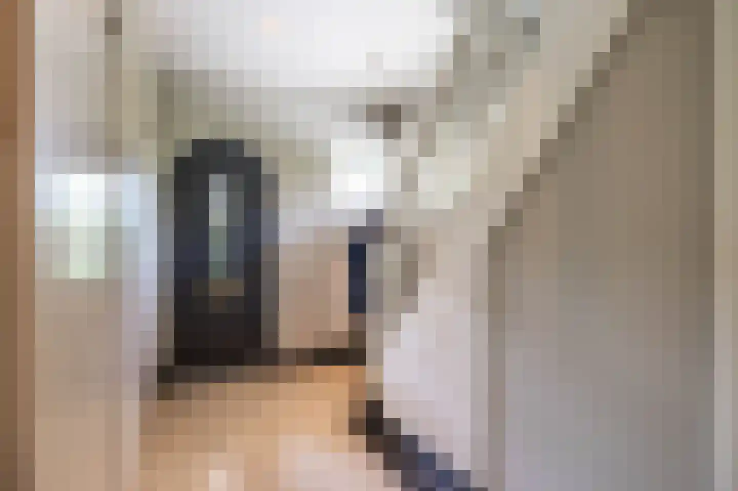 Meerkoetlaan 1 Paterswolde thumbnail 9