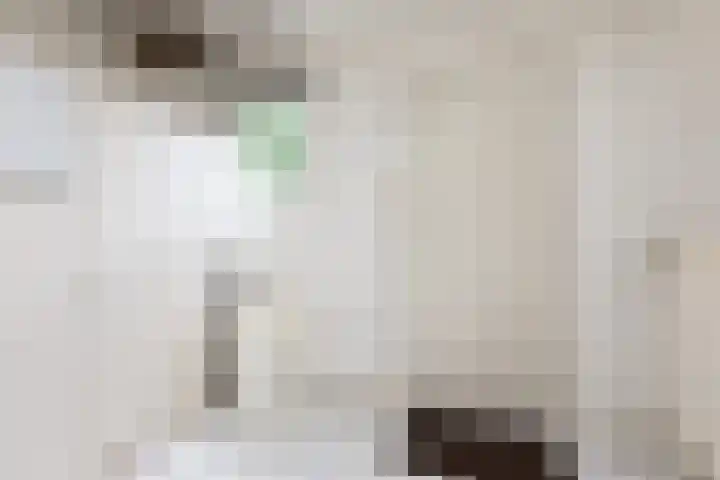 Meerkoetlaan 11 Sneek thumbnail 12