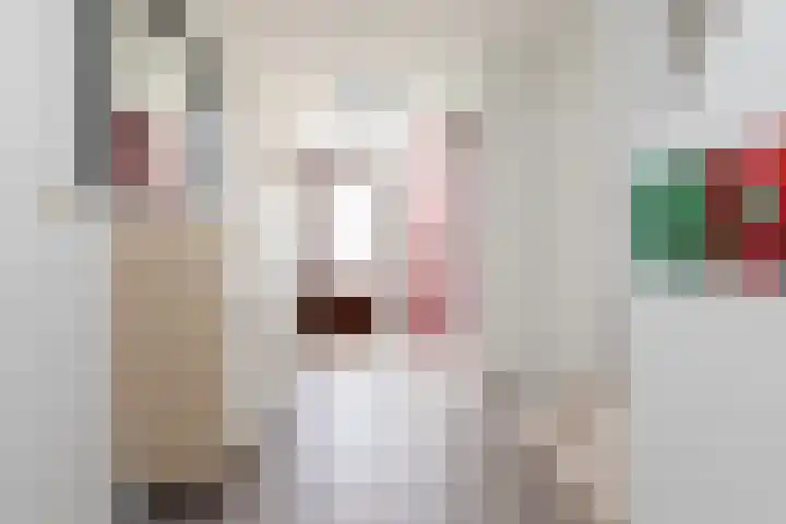 Meerkoetlaan 11 Sneek thumbnail 15