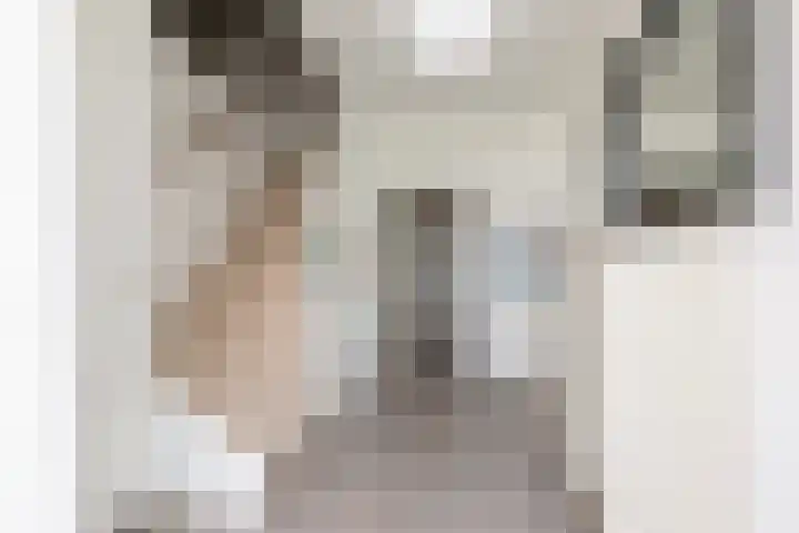 Meerkoetlaan 11 Sneek thumbnail 17