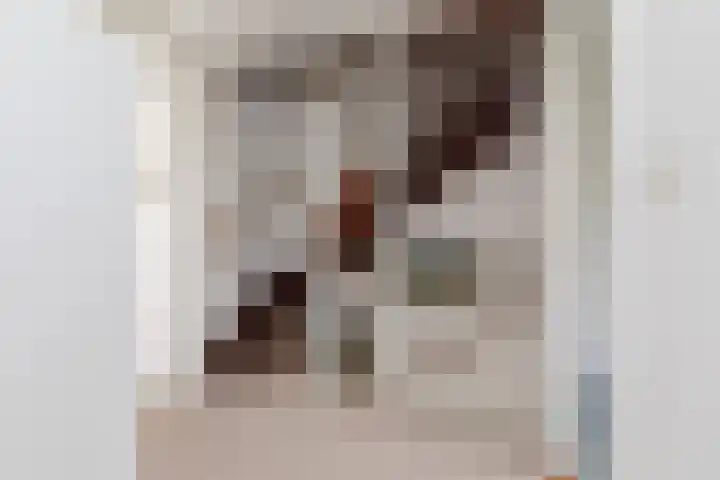 Meerkoetlaan 11 Sneek thumbnail 18