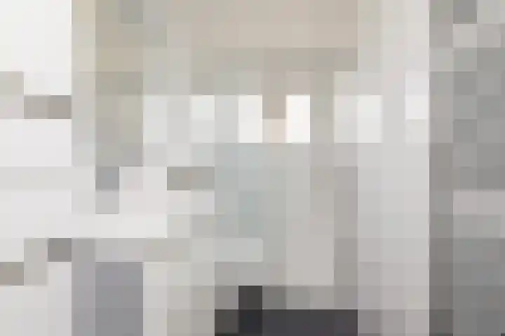 Meerkoetlaan 11 Sneek thumbnail 27