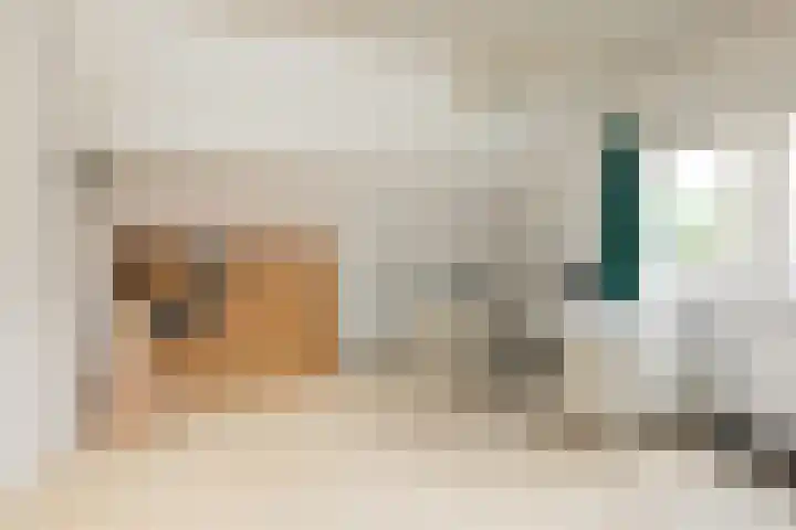 Meerkoetlaan 11 Sneek thumbnail 32