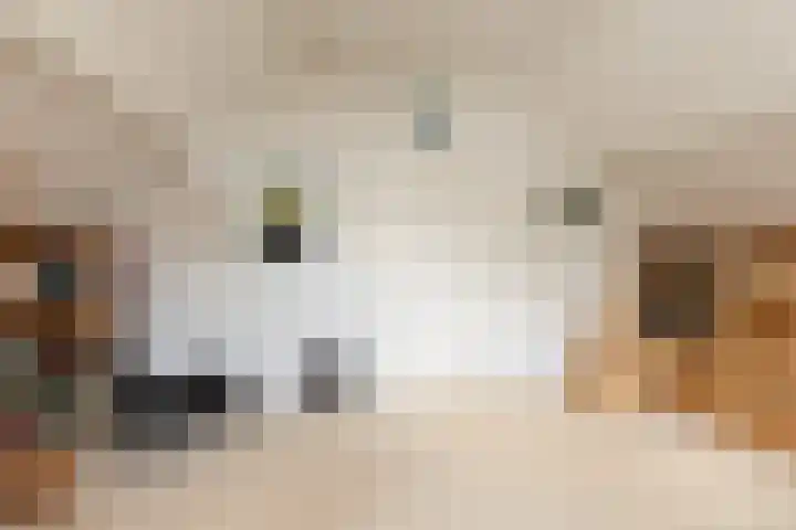 Meerkoetlaan 11 Sneek thumbnail 33