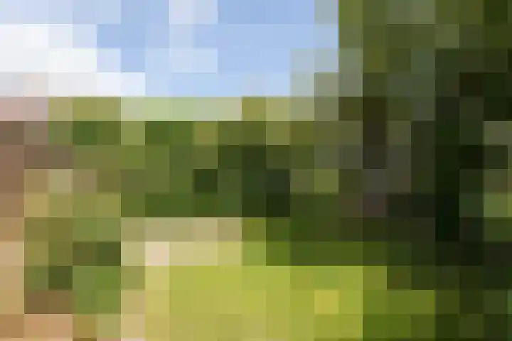 Meerkoetlaan 11 Sneek thumbnail 34