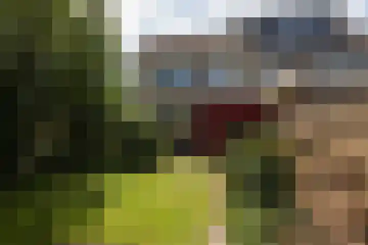 Meerkoetlaan 11 Sneek thumbnail 35