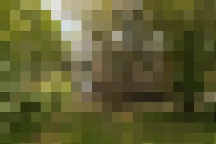 Meerkoetlaan 11 Sneek thumbnail 36