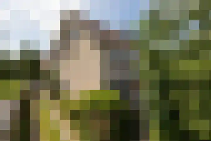 Meerkoetlaan 11 Sneek thumbnail 38