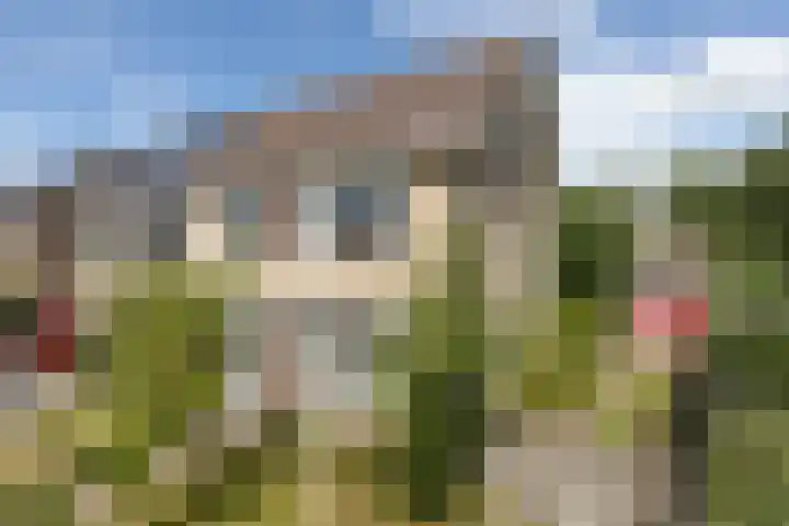 Meerkoetlaan 11 Sneek thumbnail 39
