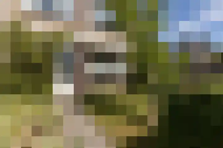 Meerkoetlaan 11 Sneek thumbnail 40