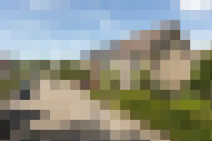 Meerkoetlaan 11 Sneek thumbnail 41