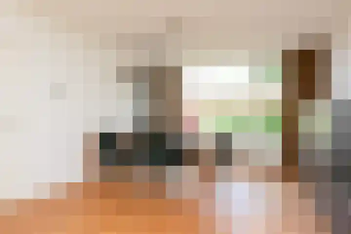 Meerkoetlaan 11 Sneek thumbnail 7