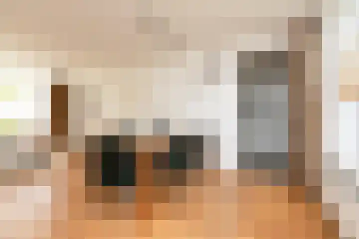 Meerkoetlaan 11 Sneek thumbnail 9