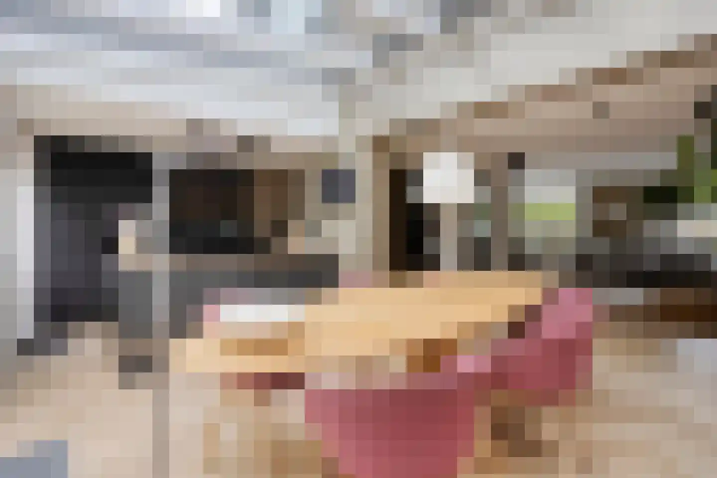 Meerkoetlaan 125 Beuningen Gld thumbnail 10