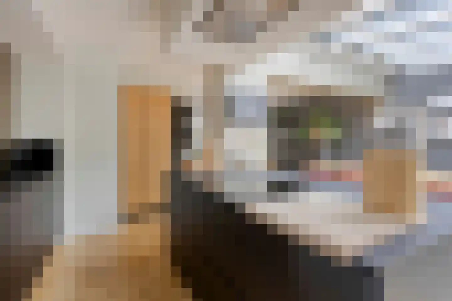 Meerkoetlaan 125 Beuningen Gld thumbnail 13