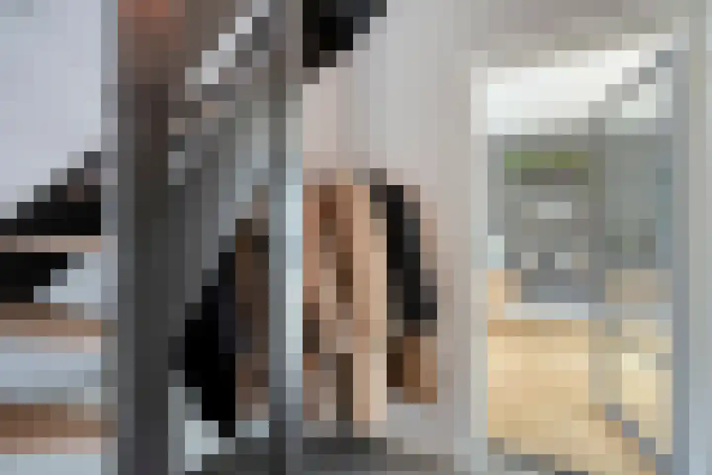 Meerkoetlaan 125 Beuningen Gld thumbnail 16