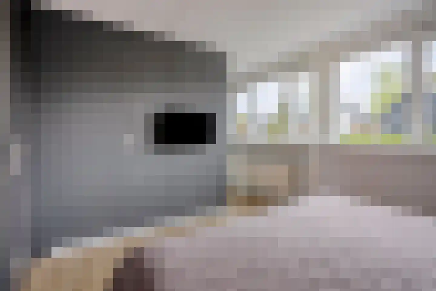 Meerkoetlaan 125 Beuningen Gld thumbnail 20