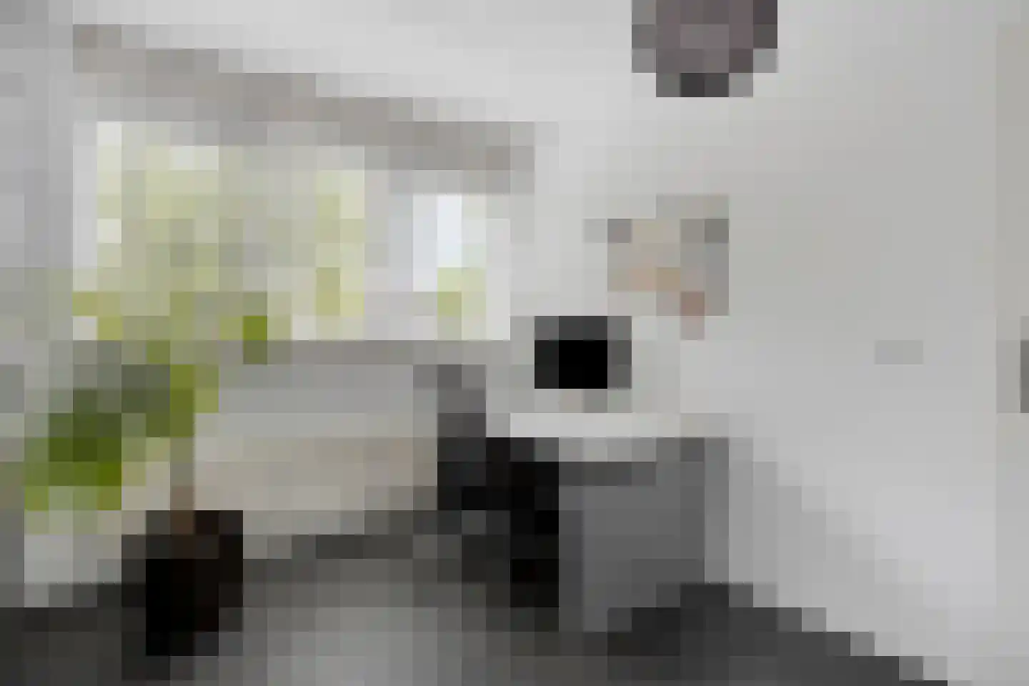 Meerkoetlaan 125 Beuningen Gld thumbnail 23