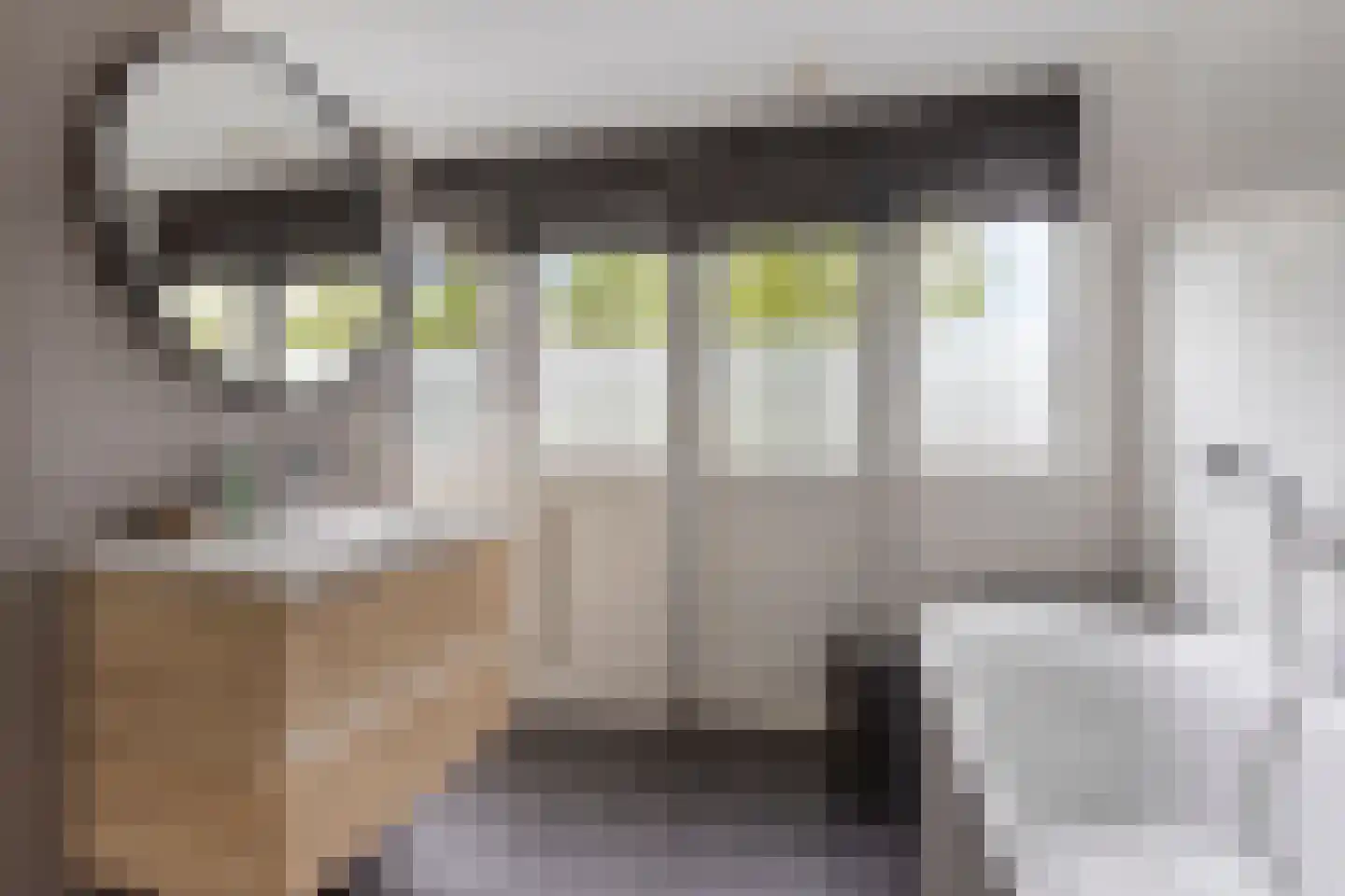 Meerkoetlaan 125 Beuningen Gld thumbnail 25
