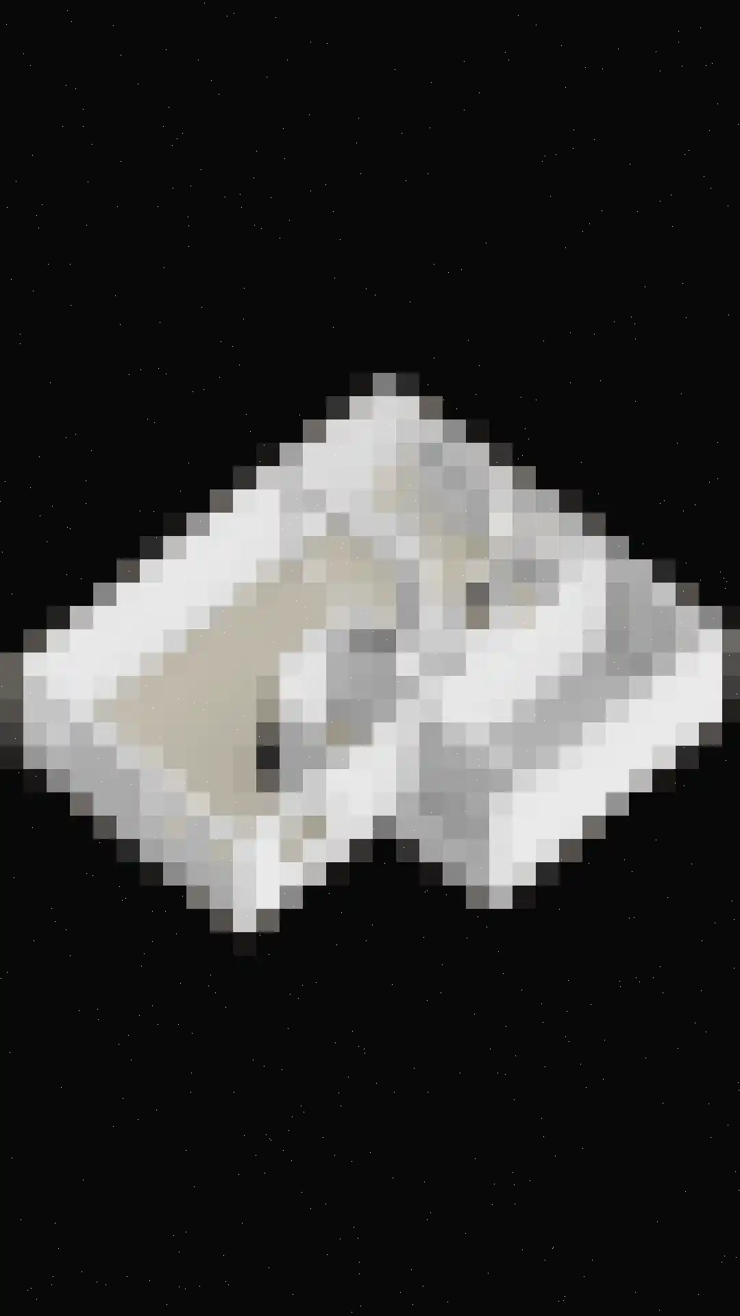 Meerkoetlaan 125 Beuningen Gld thumbnail 54