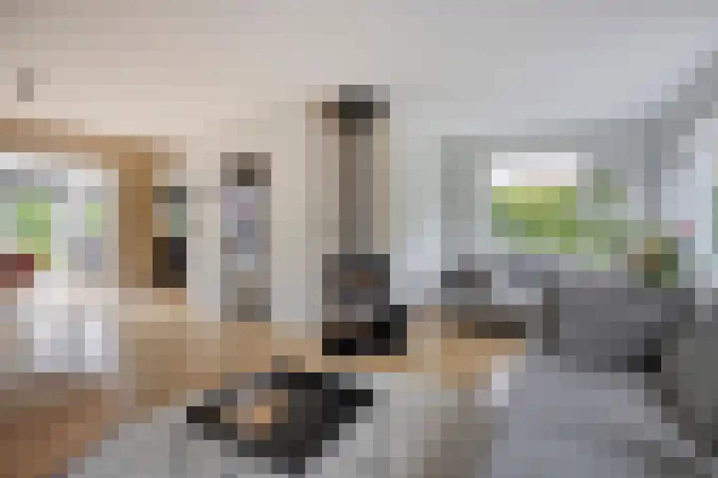 Meerkoetlaan 125 Beuningen Gld thumbnail 6