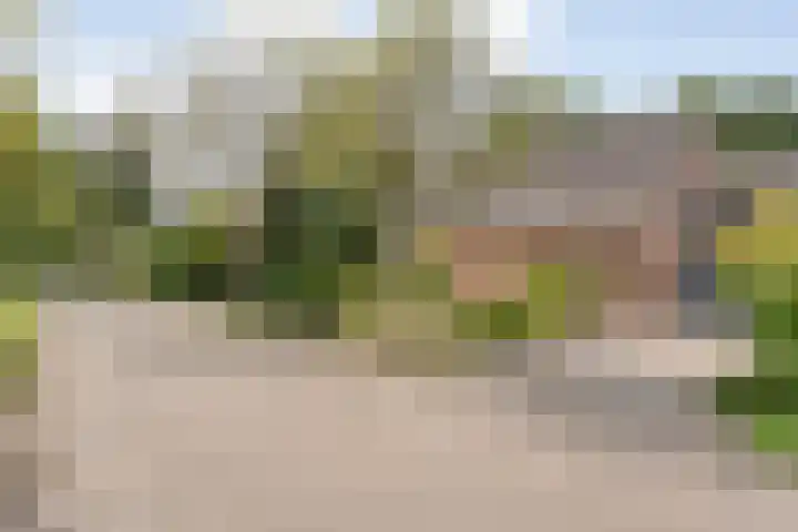 Meerkoetlaan 13 dans Ruinerwold